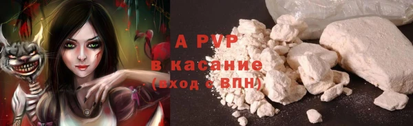 спайс Белокуриха