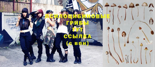 спайс Белокуриха