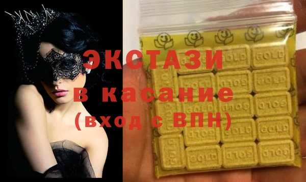 индика Зеленодольск